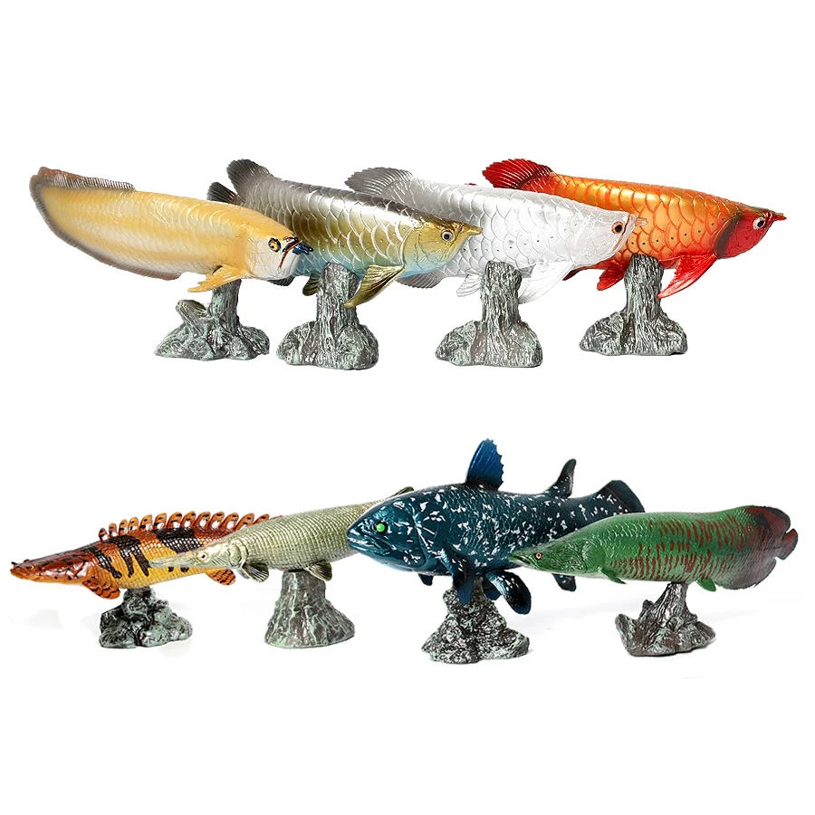 Kids Toys Reviews - Arowana Pirarucu Coelacanth Bichir Alligator Fischmodell