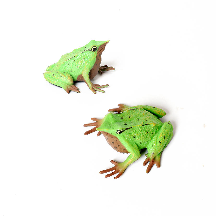 Regenwald Tiere Frösche Figure – Kids Toys Reviews Bewertung und Preis
