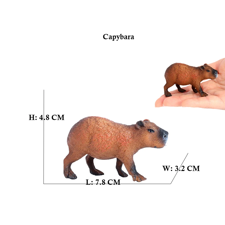Capibara Capybaras Eichhörnche – Kids Toys Reviews Bewertung und Preis