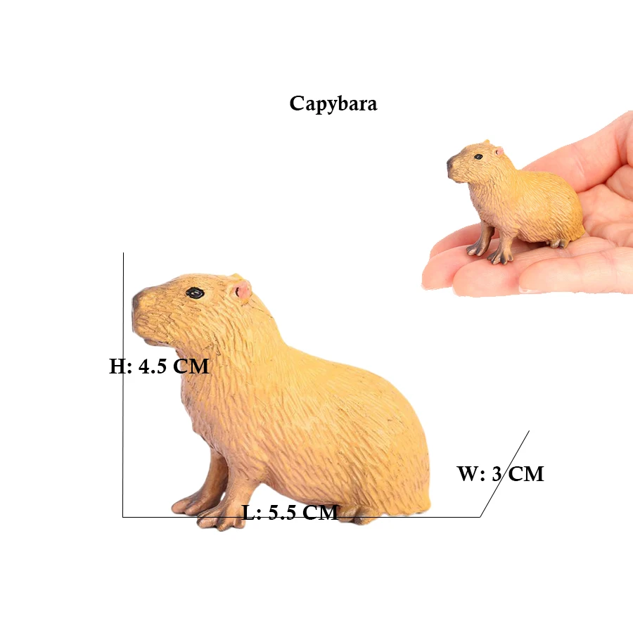 Capibara Capybaras Eichhörnche – Kids Toys Reviews Bewertung und Preis