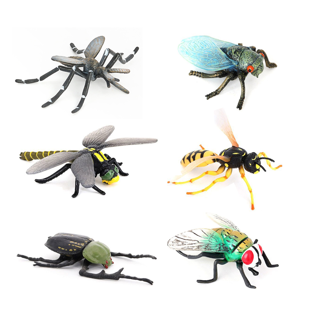 Insektenspielzeug Miniatur-Ins – Kids Toys Reviews Bewertung und Preis