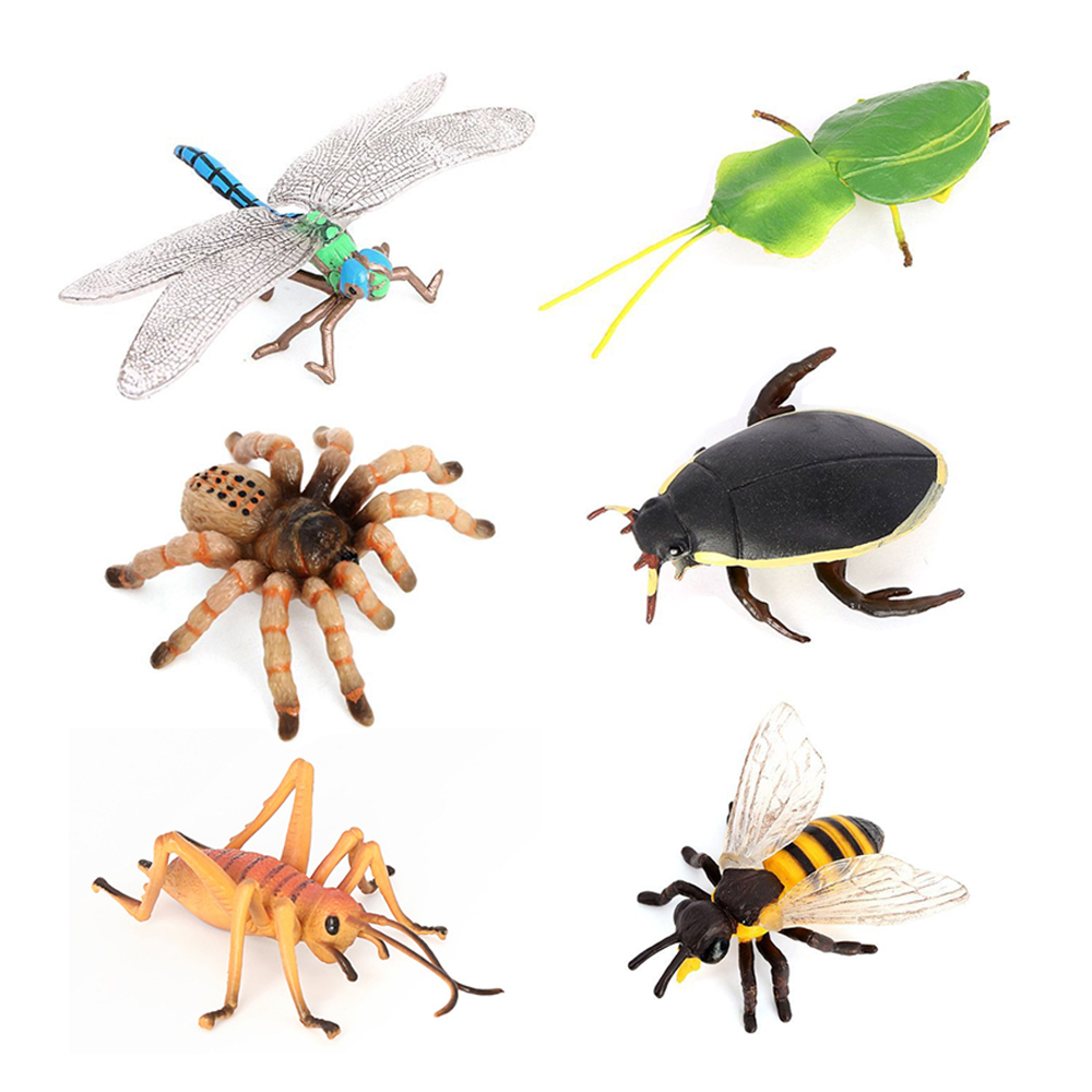 Insektenspielzeug Miniatur-Ins – Kids Toys Reviews Bewertung und Preis