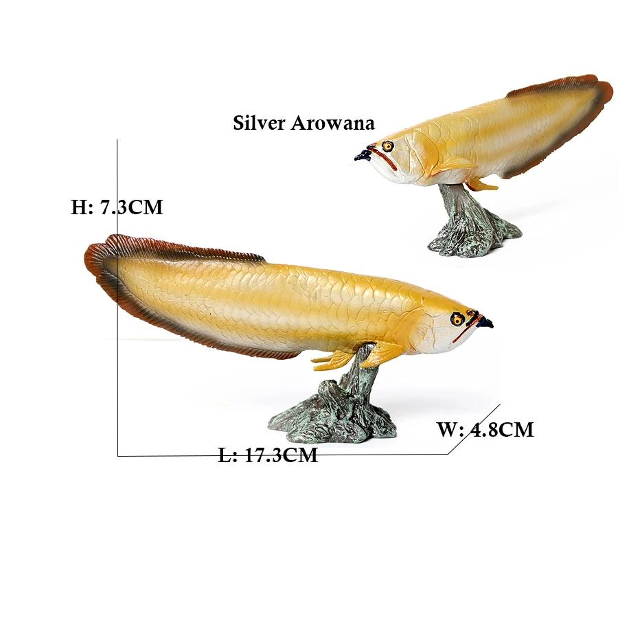 Arowana Pirarucu Coelacanth Bi – Kids Toys Reviews Bewertung und Preis