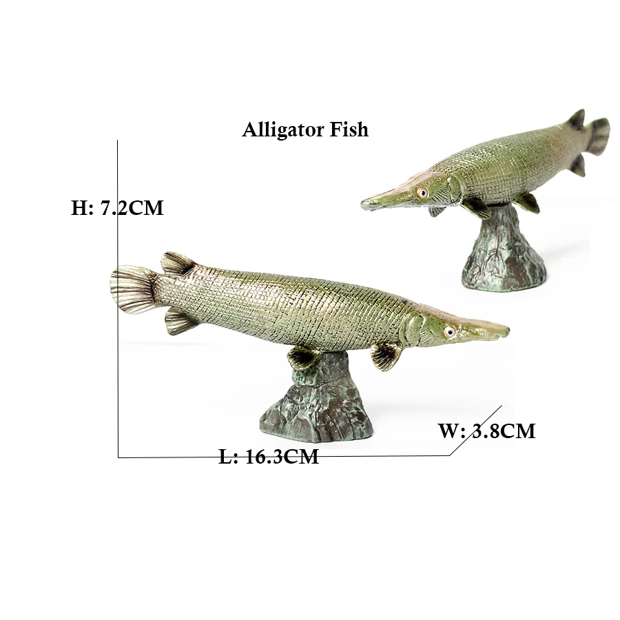 Arowana Pirarucu Coelacanth Bi – Kids Toys Reviews Bewertung und Preis