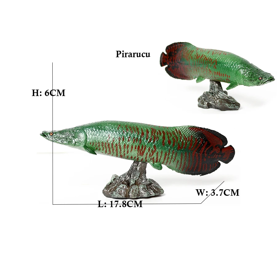Arowana Pirarucu Coelacanth Bi – Kids Toys Reviews Bewertung und Preis