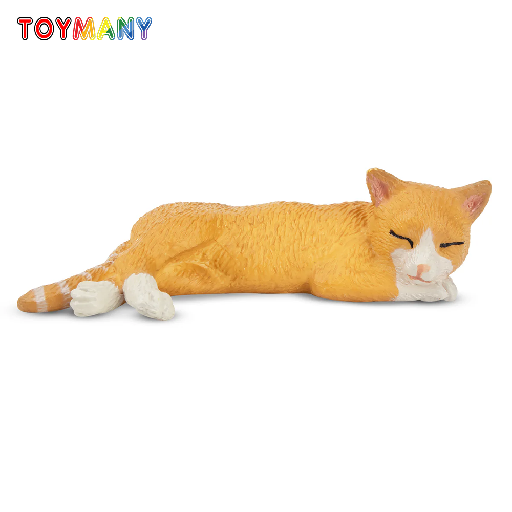 Toymany Simulation Liegen Oran – Kids Toys Latest Bewertung und Preis
